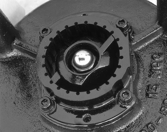 MSW B G SERIES 0.75-5.5KW 2P - Grinder